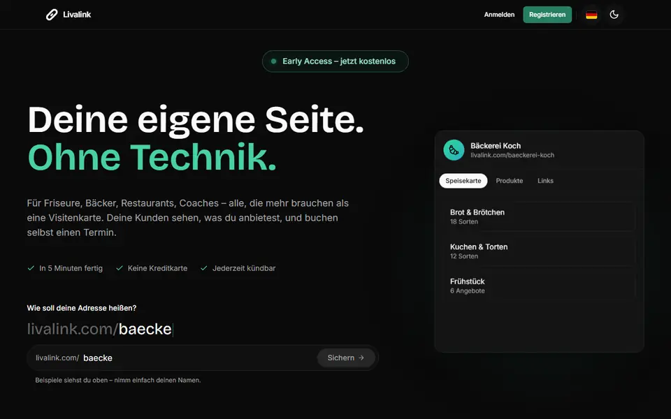 Livalink – Vorschau der Website