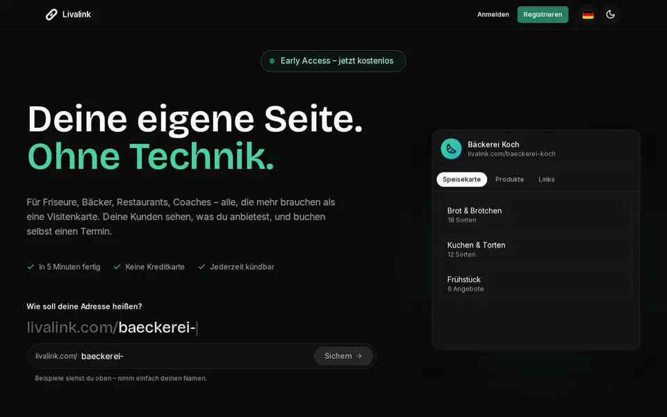 Livalink – Vorschau der Website