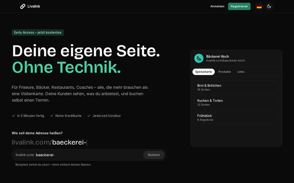 Livalink – Vorschau der Website