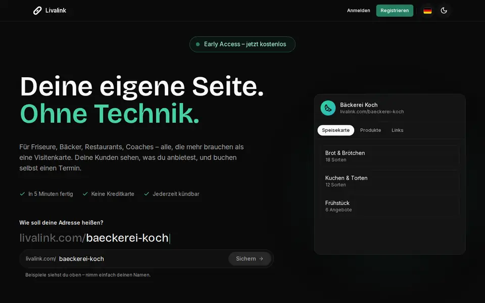 Livalink – Vorschau der Website