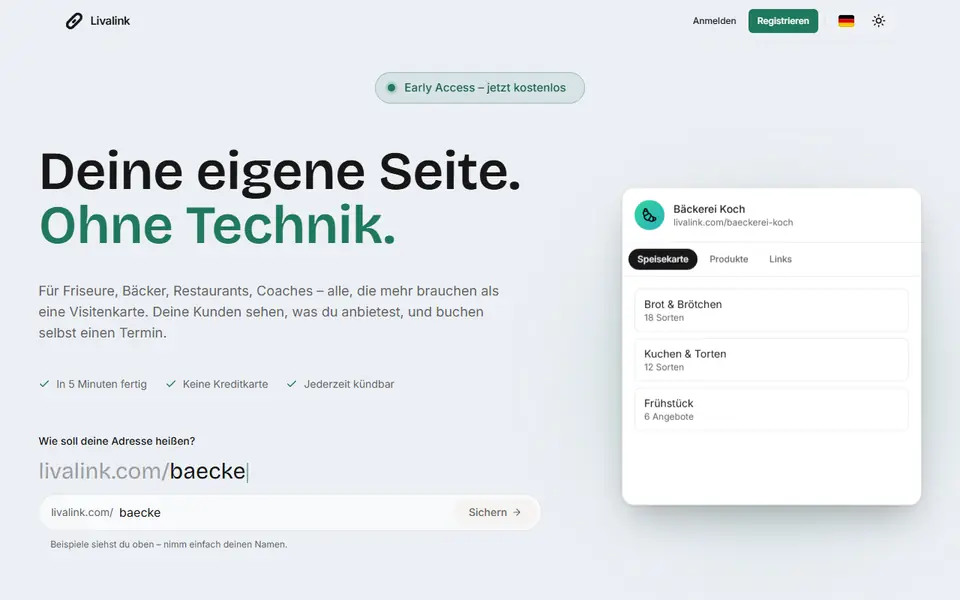 Livalink – Vorschau der Website