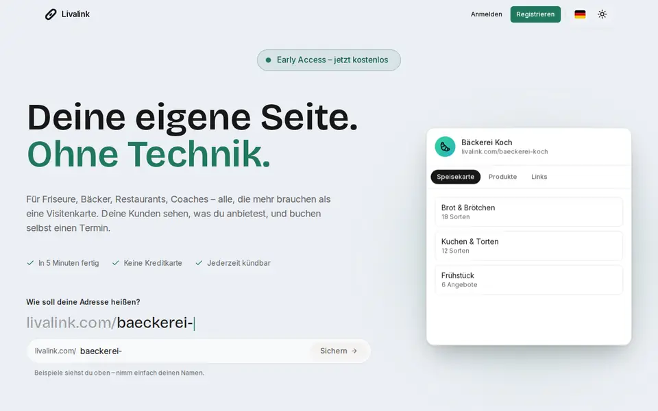 Livalink – Vorschau der Website