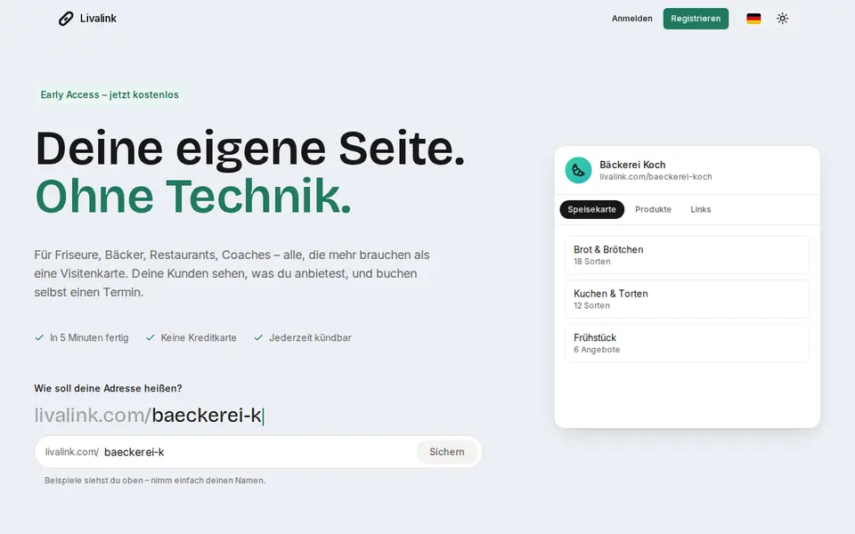 Livalink – Vorschau der Website