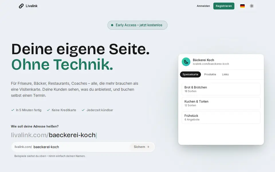 Livalink – Vorschau der Website